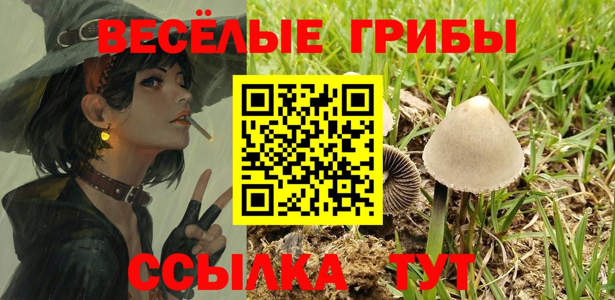 Псилоцибиновые грибы Psilocybe  Вход с VPN  Бирск 